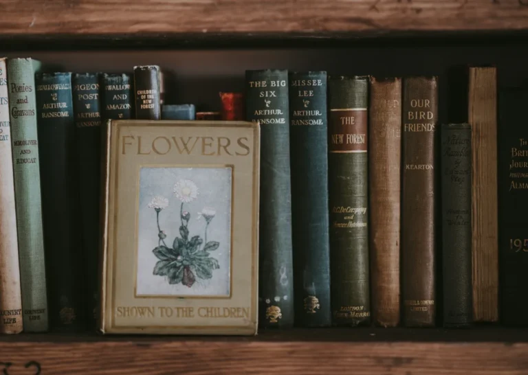 BOOK-shelf
